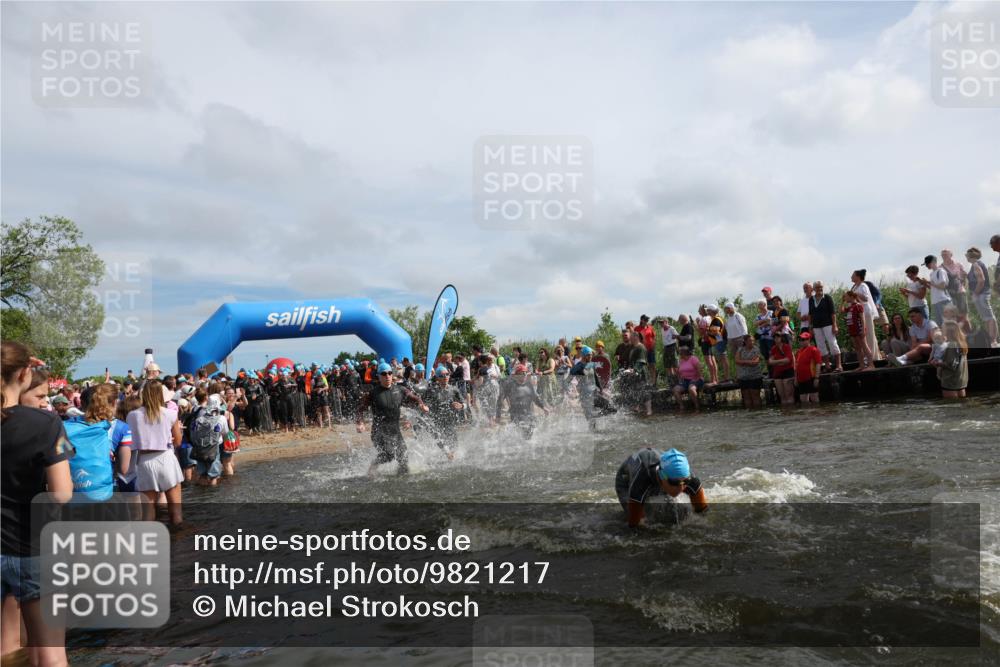 21.06.2026 - Viking Triathlon Michael Strokosch http://msf.ph/oto/9821217 21.06.2026 10:05:00 Schwimmen 214, 225, 297, 304, 318, 350, 353, 442, 456, 461, 492, 497, 508, 516, 650 meine-sportfotos.de