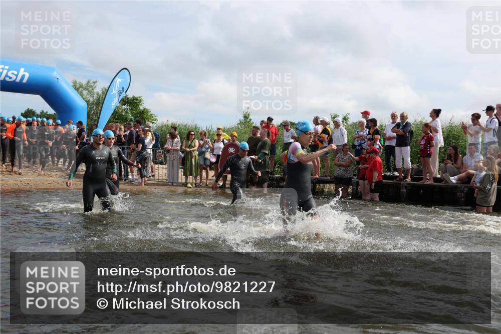 21.06.2026 - Viking Triathlon Michael Strokosch http://msf.ph/oto/9821227 21.06.2026 10:05:07 Schwimmen 165, 225, 296, 297, 301, 304, 318, 350, 370, 442, 461, 497, 516, 562, 650 meine-sportfotos.de