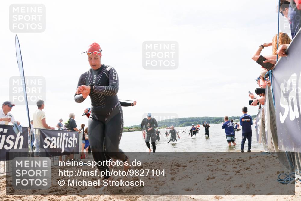 21.06.2026 - Viking Triathlon Michael Strokosch http://msf.ph/oto/9827104 21.06.2026 10:43:29 Schwimmen 69, 93, 287, 459, 473, 521, 528, 533, 618, 645 meine-sportfotos.de