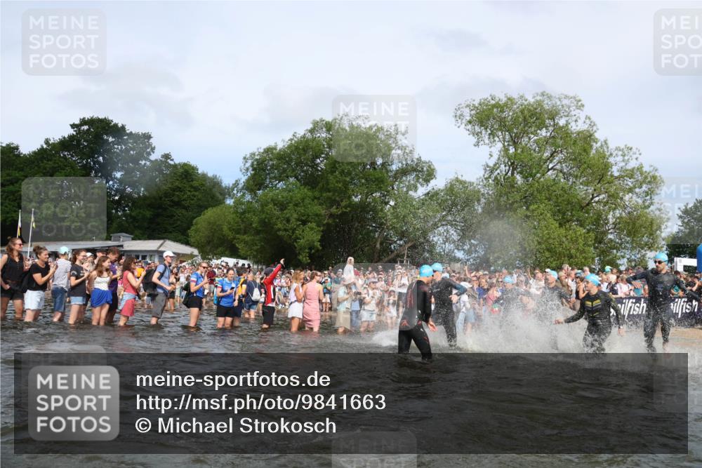 21.06.2026 - Viking Triathlon Michael Strokosch http://msf.ph/oto/9841663 21.06.2026 10:01:13 Schwimmen 5, 18, 65, 89, 114, 169, 242, 270, 280, 337, 342, 383, 447, 486, 527 meine-sportfotos.de