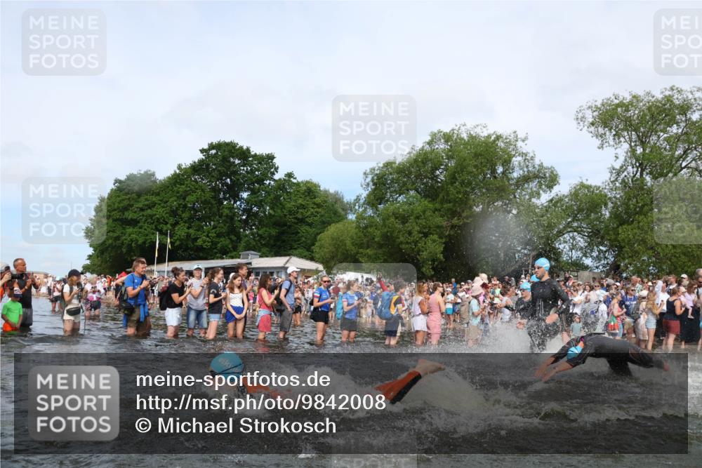 21.06.2026 - Viking Triathlon Michael Strokosch http://msf.ph/oto/9842008 21.06.2026 10:02:14 Schwimmen 47, 87, 90, 102, 136, 152, 154, 410, 438, 490, 501, 536, 537, 655, 660 meine-sportfotos.de