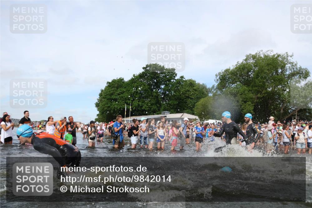 21.06.2026 - Viking Triathlon Michael Strokosch http://msf.ph/oto/9842014 21.06.2026 10:02:15 Schwimmen 47, 87, 90, 102, 136, 152, 154, 410, 438, 490, 501, 536, 537, 655, 660 meine-sportfotos.de