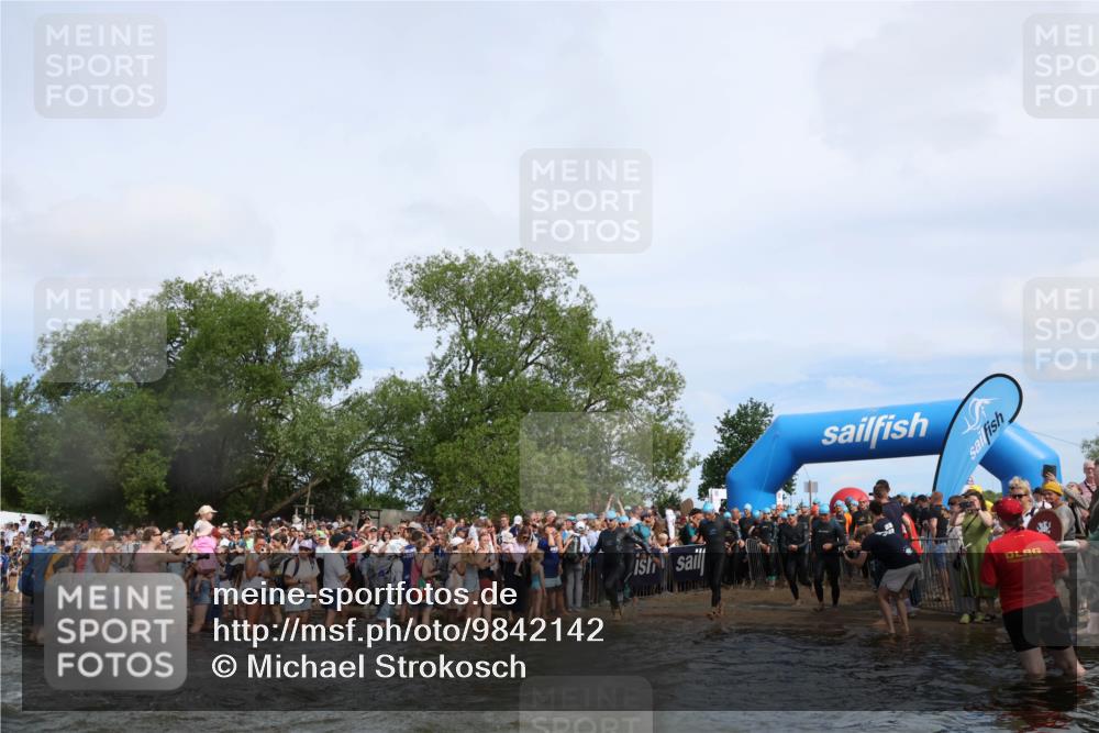 21.06.2026 - Viking Triathlon Michael Strokosch http://msf.ph/oto/9842142 21.06.2026 10:02:37 Schwimmen 83, 99, 100, 126, 186, 220, 325, 386, 462, 485, 513, 560, 579, 604, 651 meine-sportfotos.de