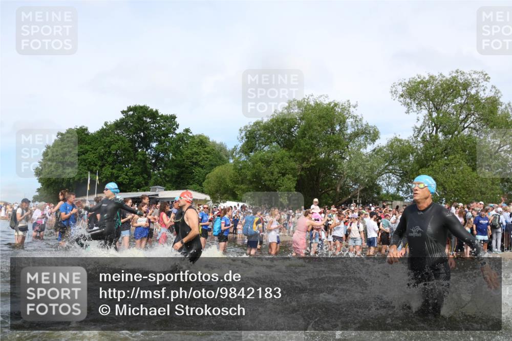 21.06.2026 - Viking Triathlon Michael Strokosch http://msf.ph/oto/9842183 21.06.2026 10:02:44 Schwimmen 16, 20, 73, 99, 171, 186, 315, 372, 386, 440, 462, 485, 553, 636, 653 meine-sportfotos.de