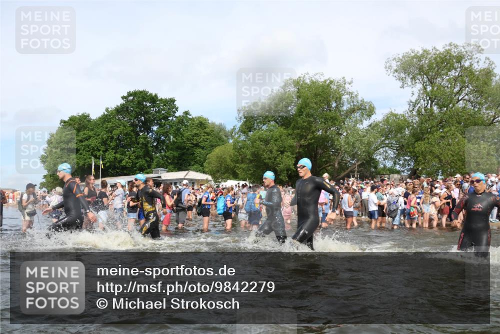 21.06.2026 - Viking Triathlon Michael Strokosch http://msf.ph/oto/9842279 21.06.2026 10:03:01 Schwimmen 64, 80, 82, 111, 199, 219, 233, 395, 407, 475, 530, 545, 546, 612, 634 meine-sportfotos.de