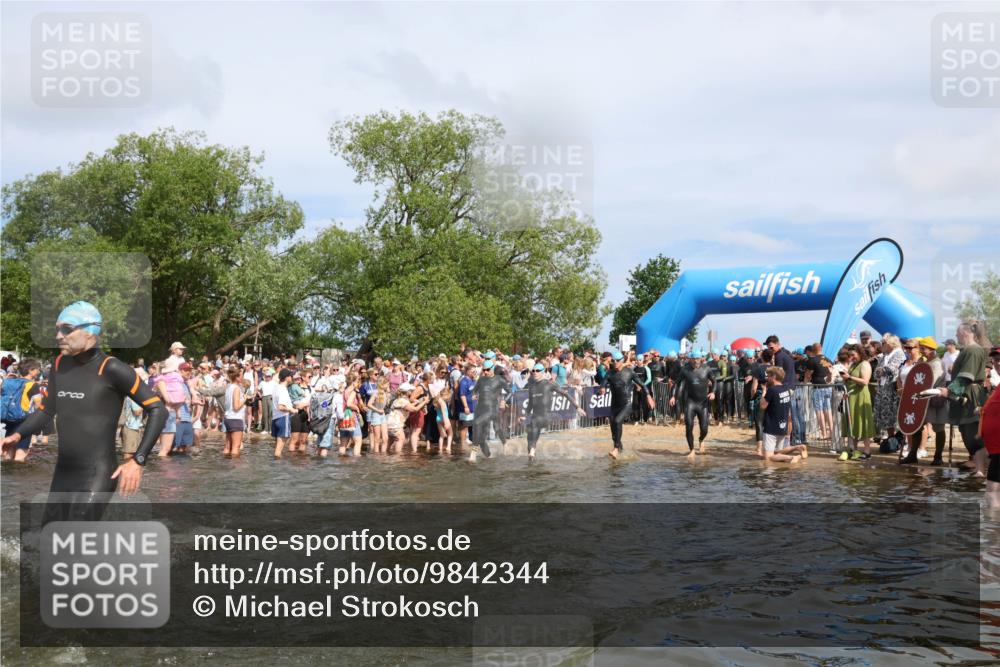 21.06.2026 - Viking Triathlon Michael Strokosch http://msf.ph/oto/9842344 21.06.2026 10:03:12 Schwimmen 49, 68, 80, 82, 170, 199, 200, 208, 348, 352, 356, 404, 467, 545, 612 meine-sportfotos.de