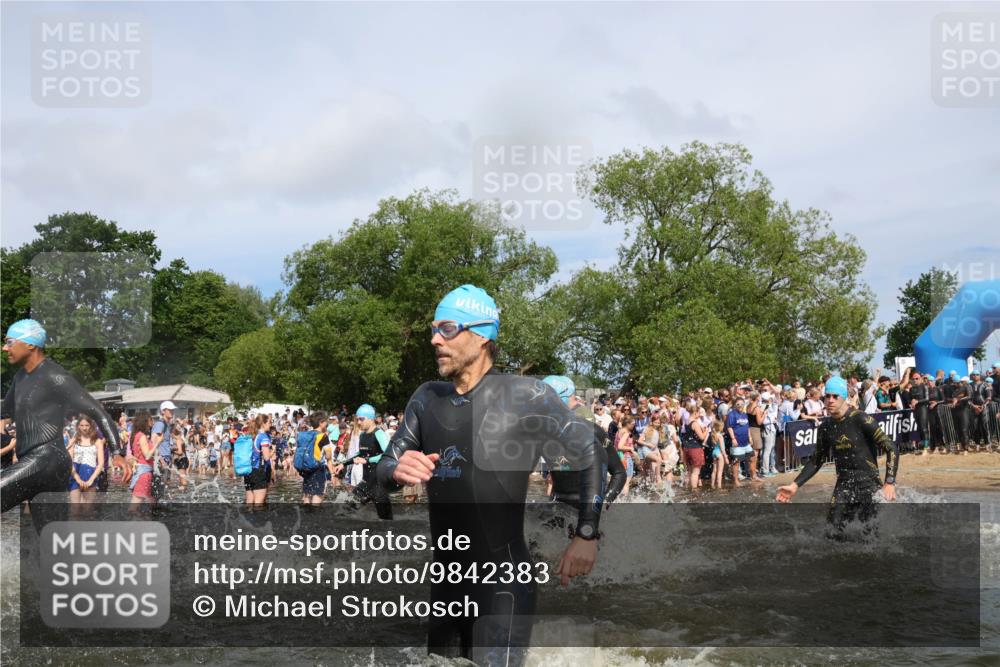 21.06.2026 - Viking Triathlon Michael Strokosch http://msf.ph/oto/9842383 21.06.2026 10:03:19 Schwimmen 58, 68, 118, 170, 202, 208, 328, 352, 364, 419, 455, 467, 487, 556, 667 meine-sportfotos.de