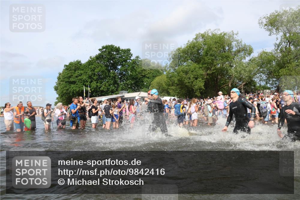 21.06.2026 - Viking Triathlon Michael Strokosch http://msf.ph/oto/9842416 21.06.2026 10:03:25 Schwimmen 58, 84, 118, 143, 202, 303, 328, 364, 419, 455, 457, 487, 556, 656, 667 meine-sportfotos.de