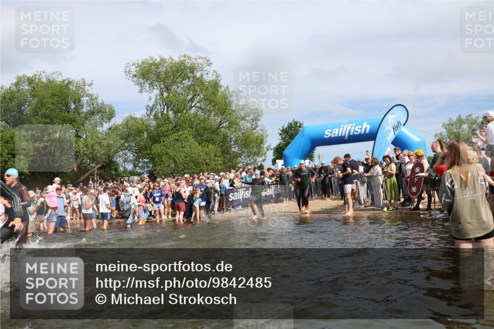 21.06.2026 - Viking Triathlon Michael Strokosch http://msf.ph/oto/9842485 21.06.2026 10:03:41 Schwimmen 53, 95, 137, 144, 229, 251, 323, 327, 340, 423, 436, 450, 458, 521, 559 meine-sportfotos.de