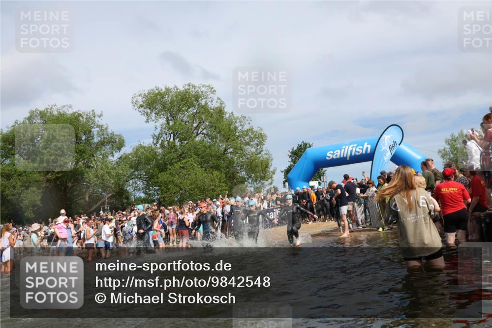 21.06.2026 - Viking Triathlon Michael Strokosch http://msf.ph/oto/9842548 21.06.2026 10:03:53 Schwimmen 267, 268, 287, 291, 339, 531, 552, 554, 608, 649 meine-sportfotos.de