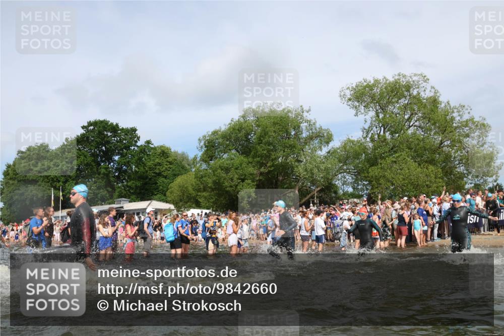 21.06.2026 - Viking Triathlon Michael Strokosch http://msf.ph/oto/9842660 21.06.2026 10:04:15 Schwimmen 96, 205, 213, 227, 239, 243, 256, 269, 377, 397, 400, 411, 496, 526, 666 meine-sportfotos.de