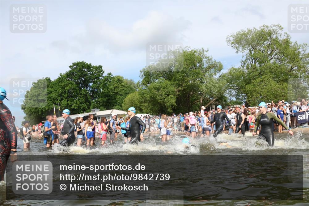 21.06.2026 - Viking Triathlon Michael Strokosch http://msf.ph/oto/9842739 21.06.2026 10:04:45 Schwimmen 22, 34, 44, 63, 150, 175, 231, 232, 247, 286, 349, 351, 355, 484, 511 meine-sportfotos.de