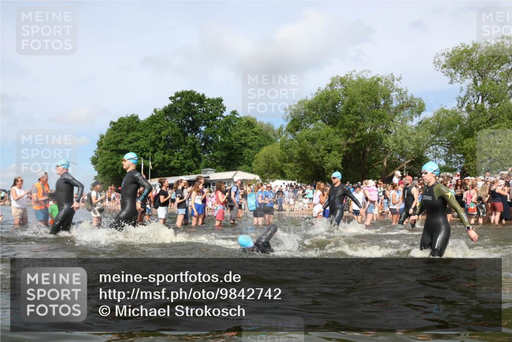 21.06.2026 - Viking Triathlon Michael Strokosch http://msf.ph/oto/9842742 21.06.2026 10:04:46 Schwimmen 22, 34, 44, 63, 150, 175, 231, 232, 247, 286, 349, 351, 355, 484, 511 meine-sportfotos.de