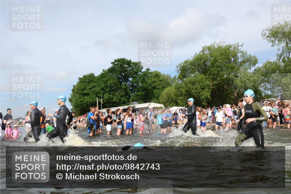 21.06.2026 - Viking Triathlon Michael Strokosch http://msf.ph/oto/9842743 21.06.2026 10:04:46 Schwimmen 22, 34, 44, 63, 150, 175, 231, 232, 247, 286, 349, 351, 355, 484, 511 meine-sportfotos.de