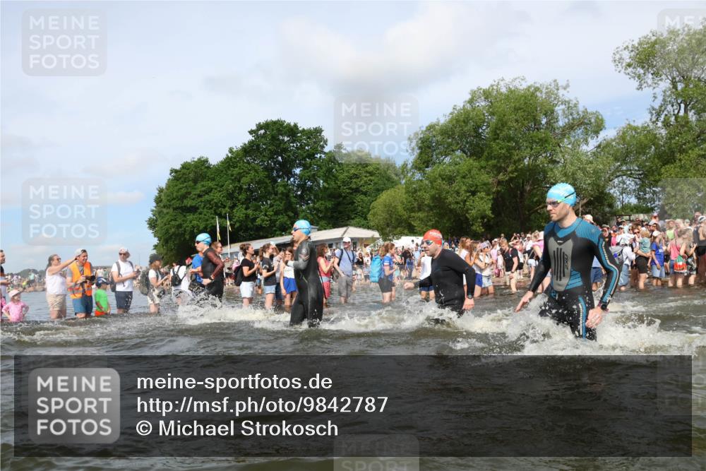 21.06.2026 - Viking Triathlon Michael Strokosch http://msf.ph/oto/9842787 21.06.2026 10:05:02 Schwimmen 214, 225, 297, 304, 318, 350, 353, 442, 456, 461, 492, 497, 508, 516, 650 meine-sportfotos.de