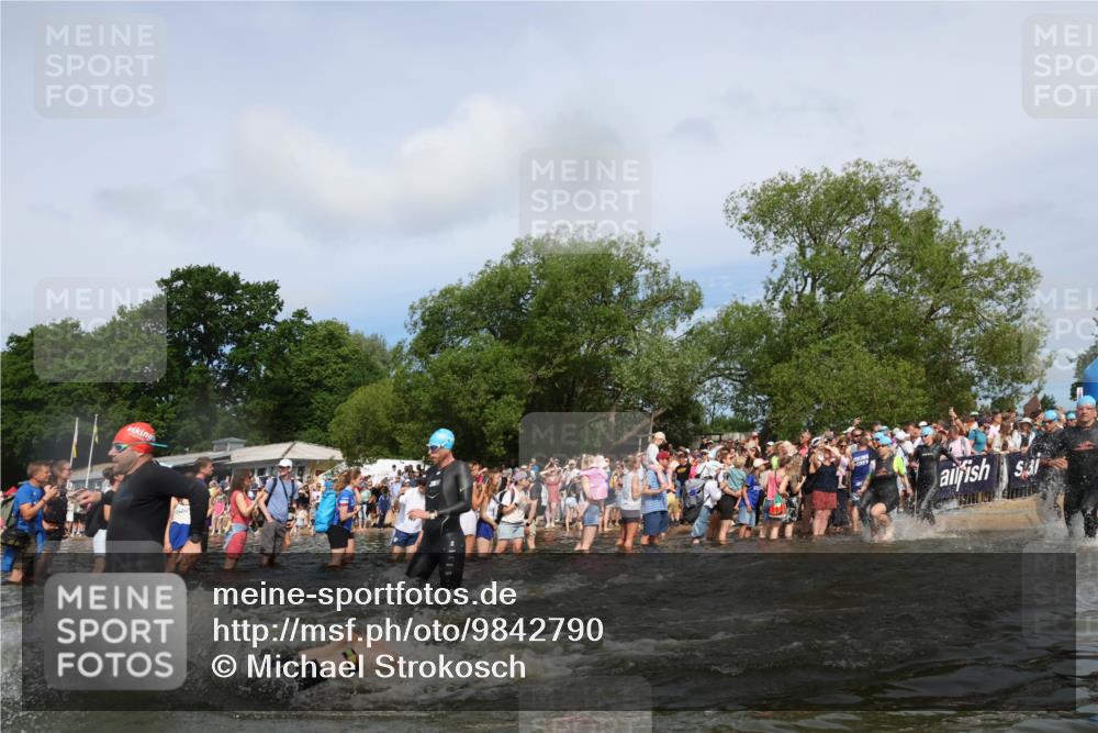 21.06.2026 - Viking Triathlon Michael Strokosch http://msf.ph/oto/9842790 21.06.2026 10:05:03 Schwimmen 214, 225, 297, 304, 318, 350, 353, 442, 456, 461, 492, 497, 508, 516, 650 meine-sportfotos.de