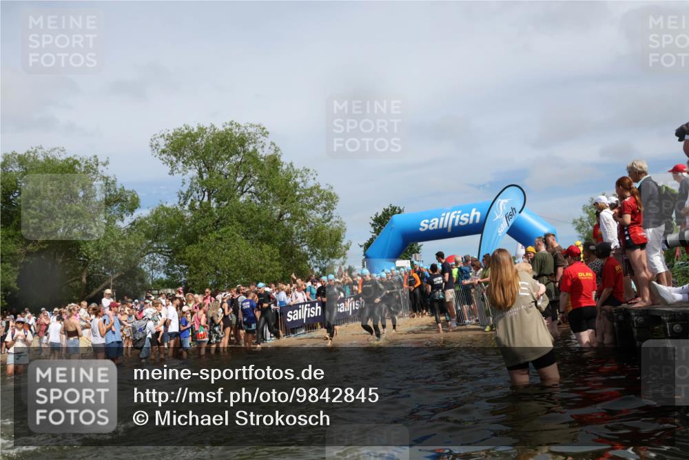 21.06.2026 - Viking Triathlon Michael Strokosch http://msf.ph/oto/9842845 21.06.2026 10:05:22 Schwimmen 33, 86, 198, 211, 230, 302, 308, 341, 459, 472, 493, 519, 601, 617, 632 meine-sportfotos.de