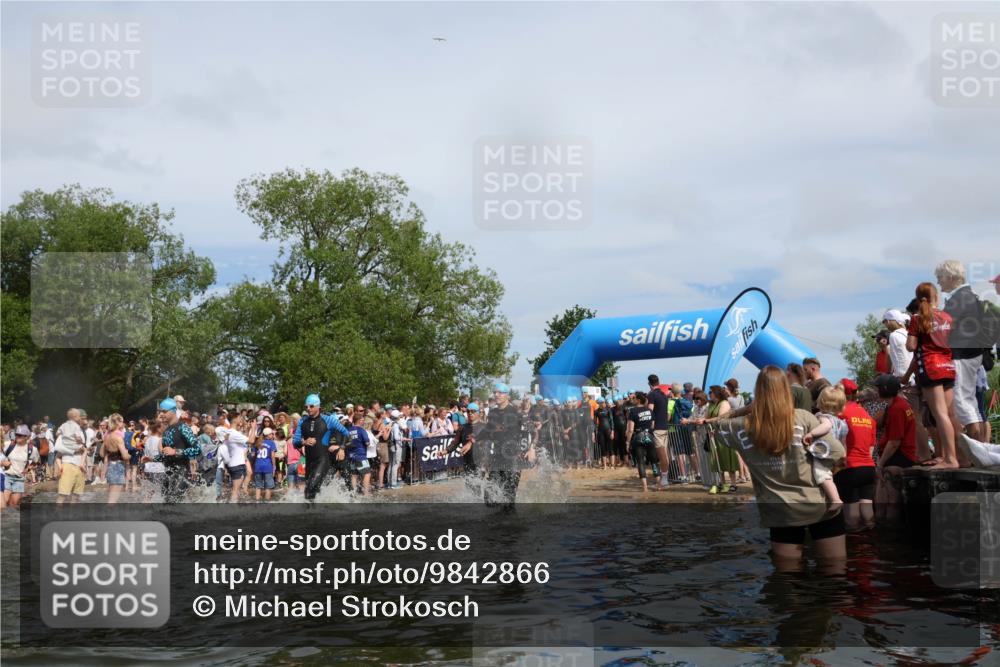 21.06.2026 - Viking Triathlon Michael Strokosch http://msf.ph/oto/9842866 21.06.2026 10:05:33 Schwimmen 86, 88, 134, 230, 262, 276, 302, 308, 330, 331, 414, 452, 459, 471, 520 meine-sportfotos.de
