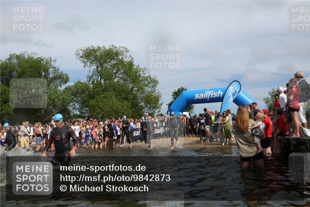 21.06.2026 - Viking Triathlon Michael Strokosch http://msf.ph/oto/9842873 21.06.2026 10:05:37 Schwimmen 88, 134, 234, 262, 276, 330, 331, 387, 399, 414, 452, 471, 482, 520, 663 meine-sportfotos.de