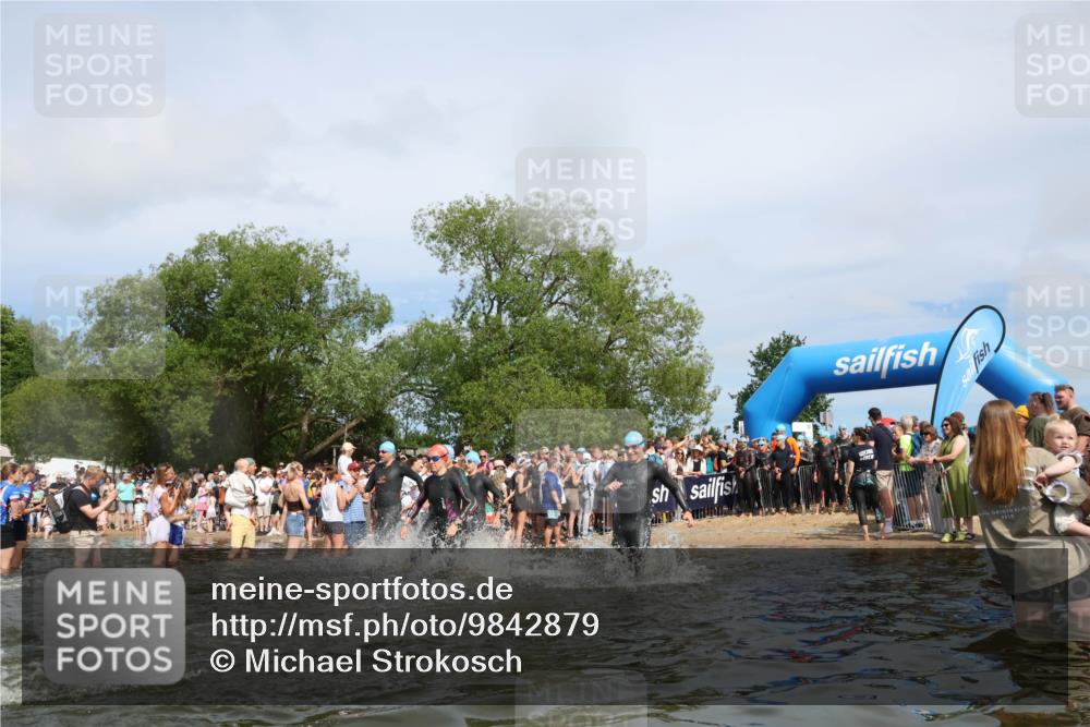 21.06.2026 - Viking Triathlon Michael Strokosch http://msf.ph/oto/9842879 21.06.2026 10:05:39 Schwimmen 45, 134, 234, 262, 276, 316, 387, 393, 399, 471, 482, 520, 578, 663 meine-sportfotos.de