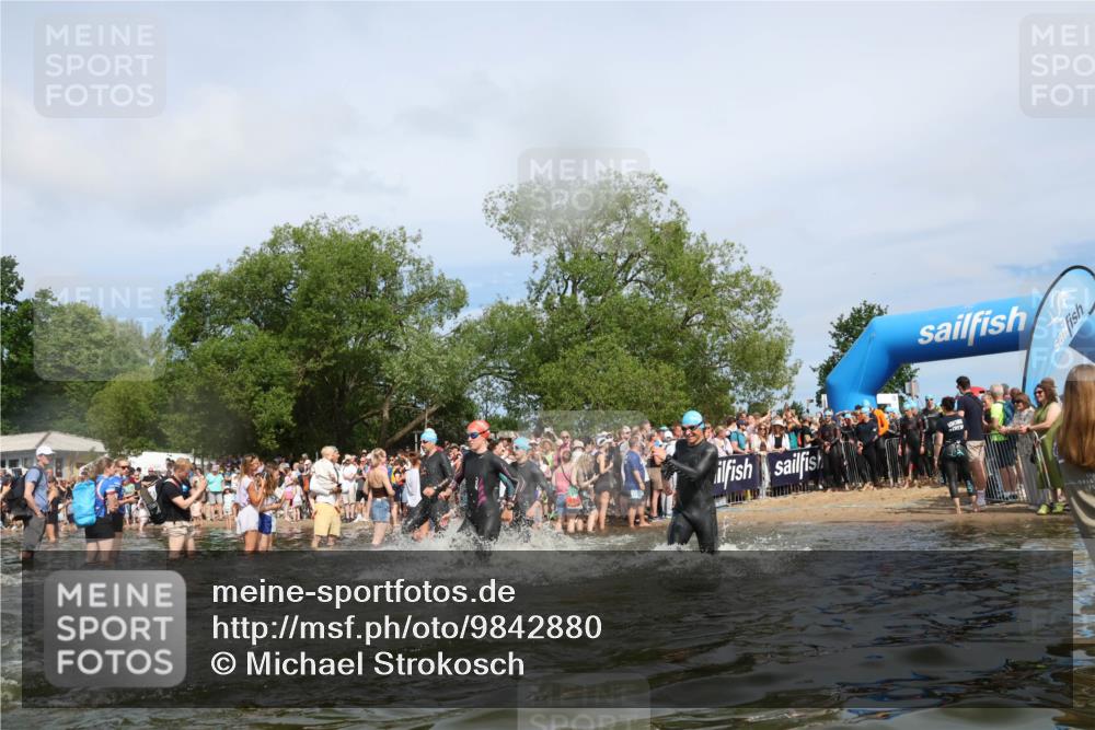 21.06.2026 - Viking Triathlon Michael Strokosch http://msf.ph/oto/9842880 21.06.2026 10:05:40 Schwimmen 45, 134, 234, 262, 276, 316, 387, 393, 399, 471, 482, 520, 528, 578, 663 meine-sportfotos.de