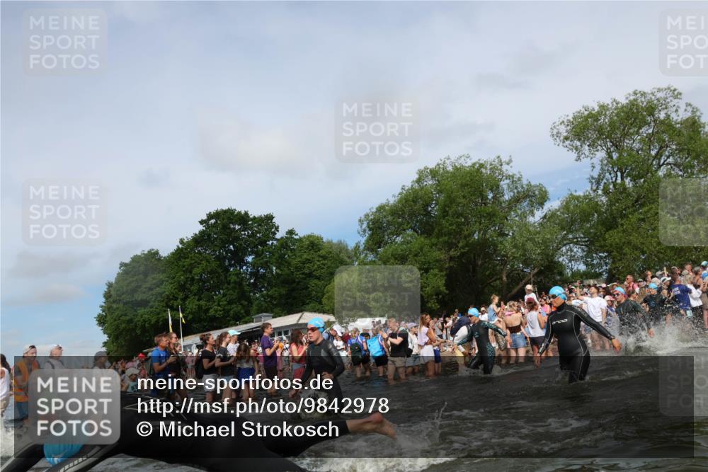 21.06.2026 - Viking Triathlon Michael Strokosch http://msf.ph/oto/9842978 21.06.2026 10:06:13 Schwimmen 41, 147, 153, 162, 173, 185, 190, 248, 273, 312, 368, 378, 405, 479, 541, 550 meine-sportfotos.de