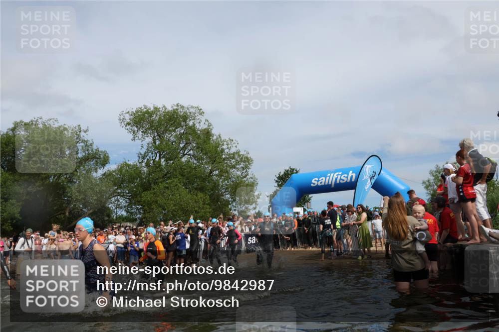 21.06.2026 - Viking Triathlon Michael Strokosch http://msf.ph/oto/9842987 21.06.2026 10:06:17 Schwimmen 41, 153, 162, 184, 190, 248, 274, 312, 368, 378, 479, 533, 541, 550, 603 meine-sportfotos.de