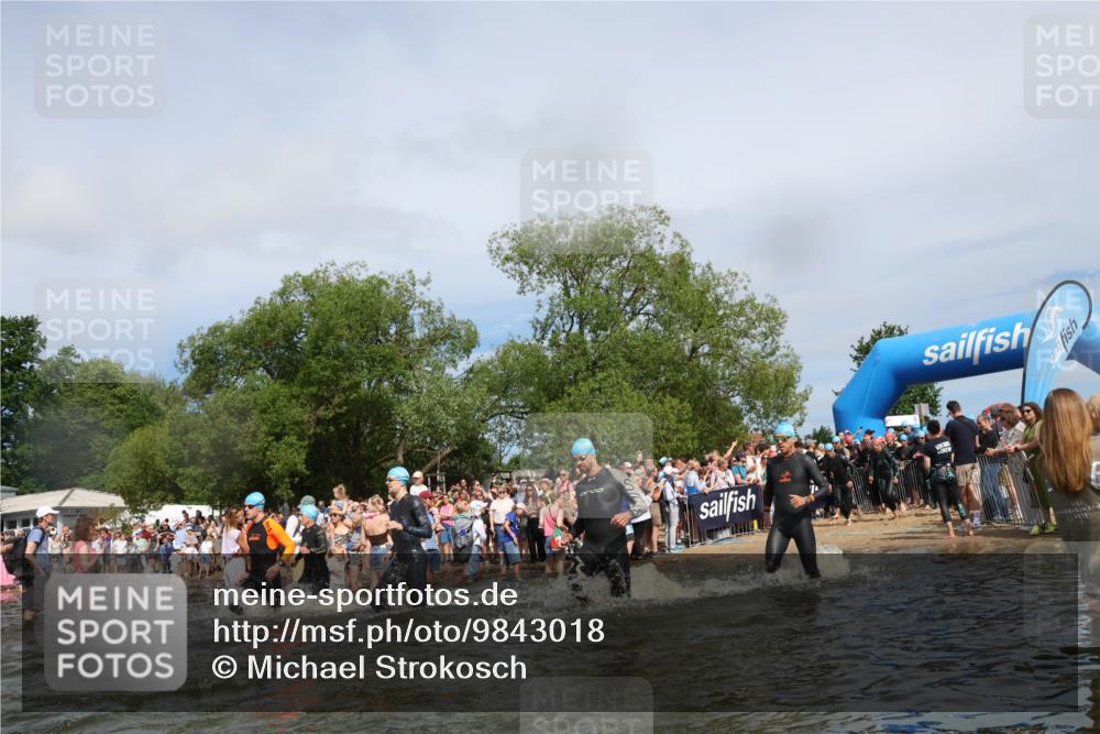 21.06.2026 - Viking Triathlon Michael Strokosch http://msf.ph/oto/9843018 21.06.2026 10:06:29 Schwimmen 56, 72, 85, 151, 177, 188, 212, 415, 445, 489, 522, 539, 577, 616, 619 meine-sportfotos.de