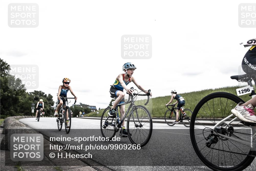 21.06.2026 - 29. Vierlanden-Triathlon H.Heesch http://msf.ph/oto/9909266 21.06.2026 14:56:29 Radfahren 1296, 1299, 1300, 1312, 1330, 1333 meine-sportfotos.de