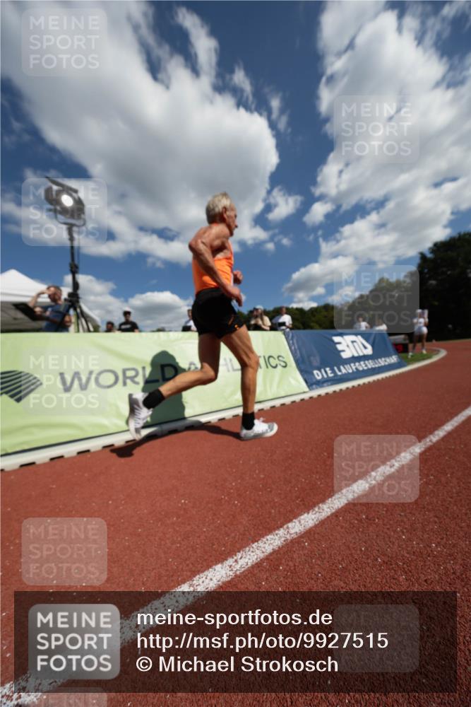 08.08.2026 - Nacht der Zehner Michael Strokosch http://msf.ph/oto/9927515 08.08.2026 15:04:03 Laufen 300 meine-sportfotos.de