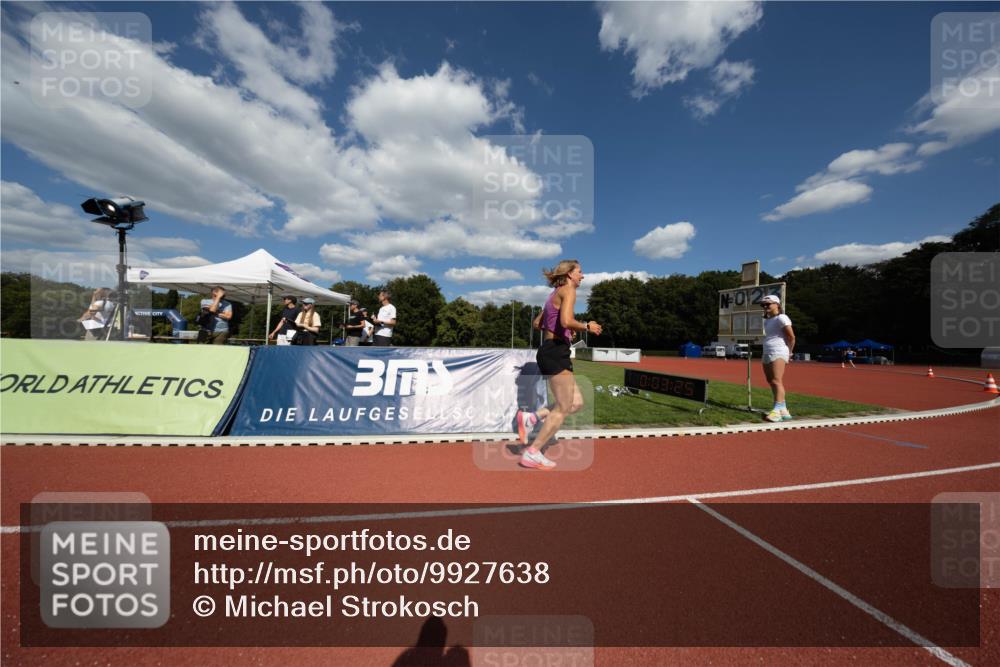 08.08.2026 - Nacht der Zehner Michael Strokosch http://msf.ph/oto/9927638 08.08.2026 15:53:09 Laufen 10, 03, 29, 2 meine-sportfotos.de