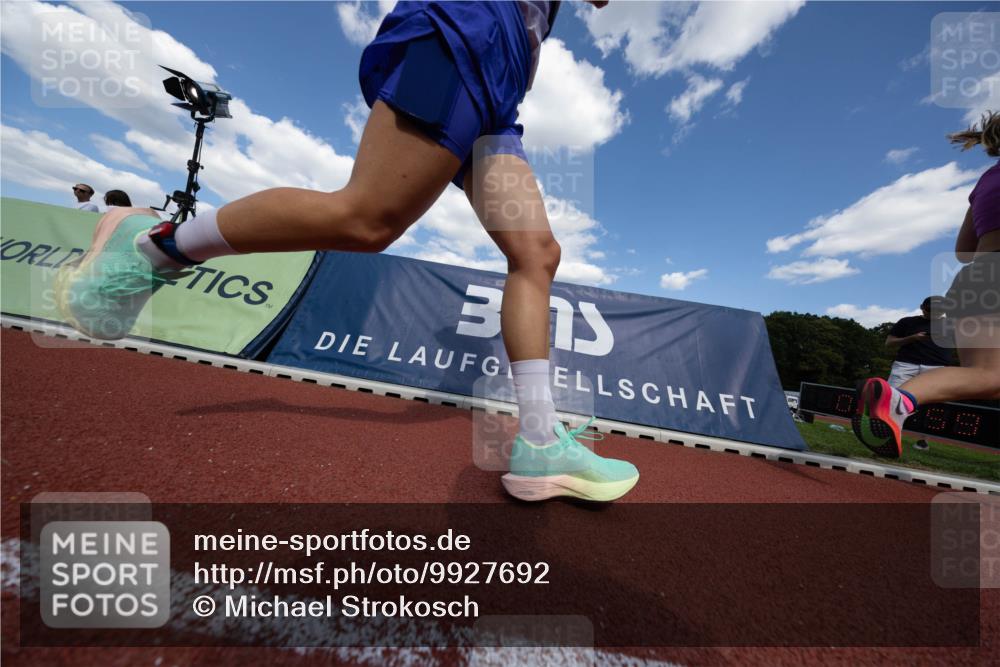 08.08.2026 - Nacht der Zehner Michael Strokosch http://msf.ph/oto/9927692 08.08.2026 15:56:44 Laufen  meine-sportfotos.de