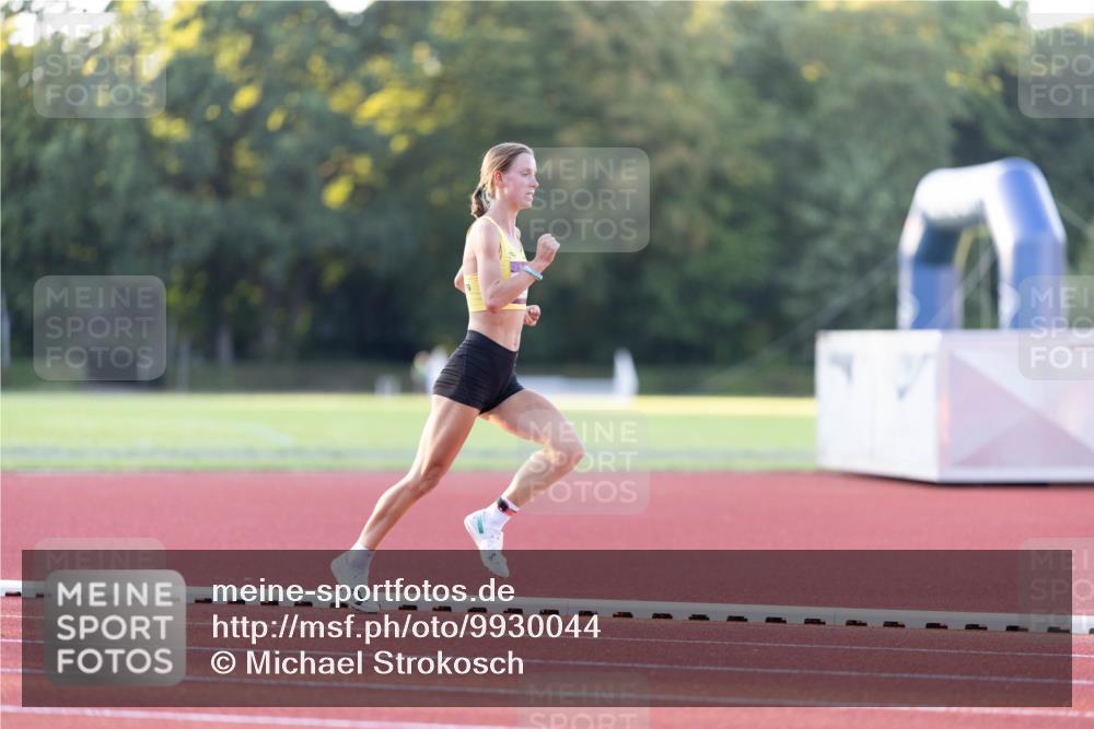 08.08.2026 - Nacht der Zehner Michael Strokosch http://msf.ph/oto/9930044 08.08.2026 19:36:53 Laufen  meine-sportfotos.de