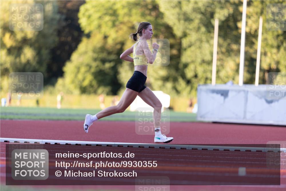 08.08.2026 - Nacht der Zehner Michael Strokosch http://msf.ph/oto/9930355 08.08.2026 19:41:20 Laufen  meine-sportfotos.de