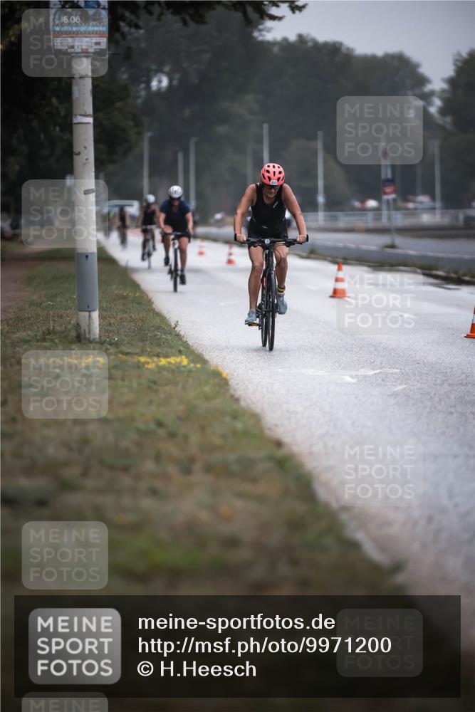 16.08.2026 - KN Förde Triathlon 2026 H.Heesch http://msf.ph/oto/9971200 16.08.2026 09:58:22 Radfahren 186, 223, 251, 262 meine-sportfotos.de