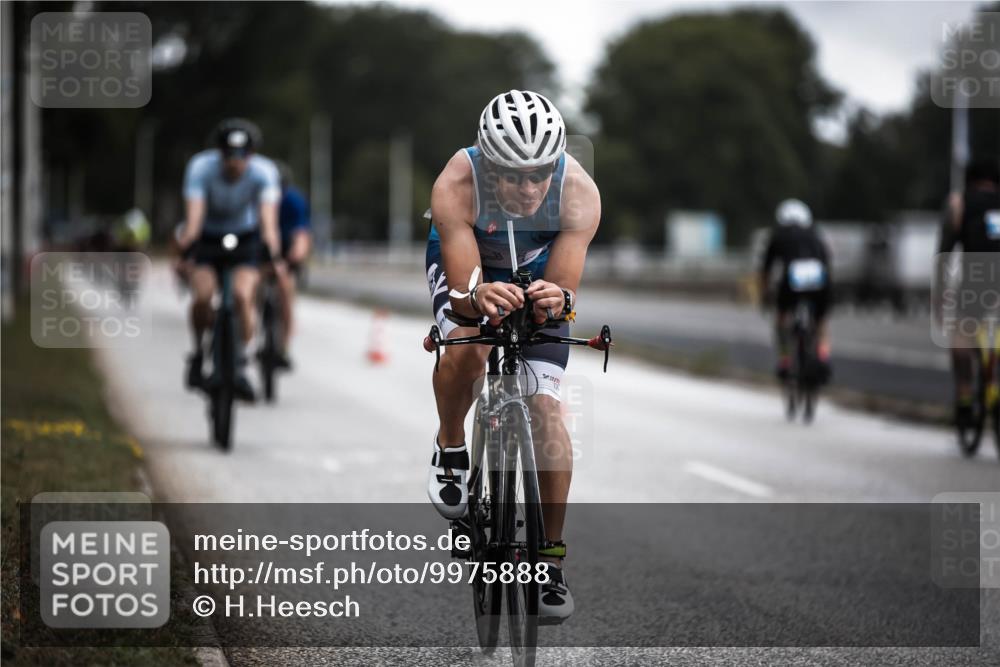 16.08.2026 - KN Förde Triathlon 2026 H.Heesch http://msf.ph/oto/9975888 16.08.2026 11:13:42 Radfahren 331, 360, 376, 386, 406, 430 meine-sportfotos.de
