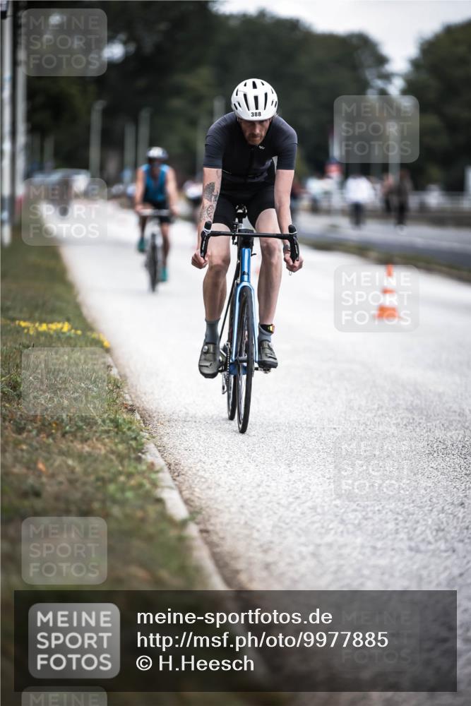 16.08.2026 - KN Förde Triathlon 2026 H.Heesch http://msf.ph/oto/9977885 16.08.2026 11:23:00 Radfahren 357, 388, 439 meine-sportfotos.de