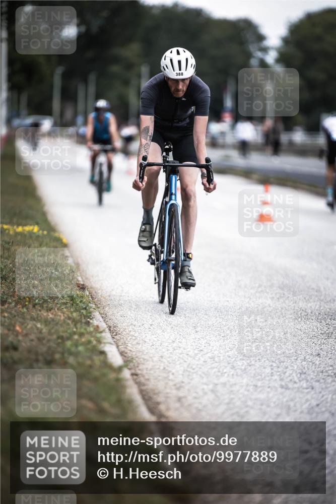 16.08.2026 - KN Förde Triathlon 2026 H.Heesch http://msf.ph/oto/9977889 16.08.2026 11:23:00 Radfahren 357, 388, 439 meine-sportfotos.de