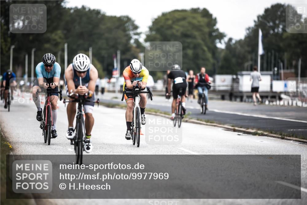 16.08.2026 - KN Förde Triathlon 2026 H.Heesch http://msf.ph/oto/9977969 16.08.2026 11:23:15 Radfahren 309, 386, 398, 403, 411 meine-sportfotos.de