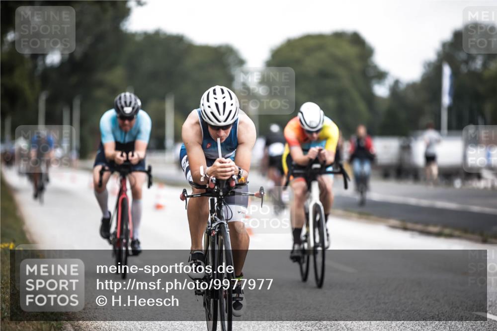 16.08.2026 - KN Förde Triathlon 2026 H.Heesch http://msf.ph/oto/9977977 16.08.2026 11:23:16 Radfahren 386, 398, 403, 411, 430 meine-sportfotos.de
