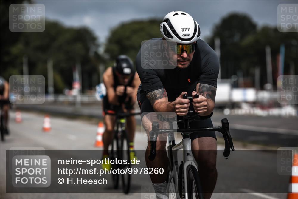 16.08.2026 - KN Förde Triathlon 2026 H.Heesch http://msf.ph/oto/9978260 16.08.2026 11:31:35 Radfahren 377, 395 meine-sportfotos.de