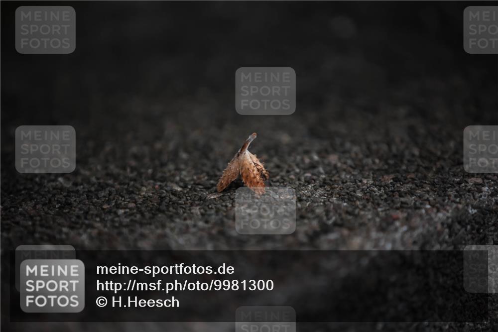 16.08.2026 - KN Förde Triathlon 2026 H.Heesch http://msf.ph/oto/9981300 16.08.2026 11:59:34 Radfahren  meine-sportfotos.de