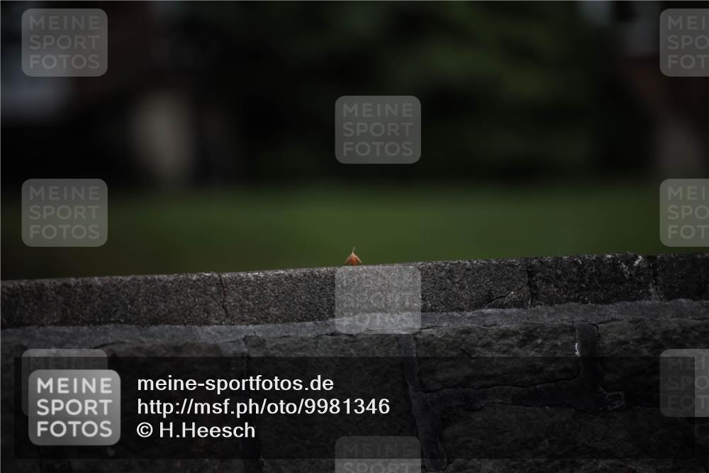 16.08.2026 - KN Förde Triathlon 2026 H.Heesch http://msf.ph/oto/9981346 16.08.2026 12:43:04 Radfahren  meine-sportfotos.de
