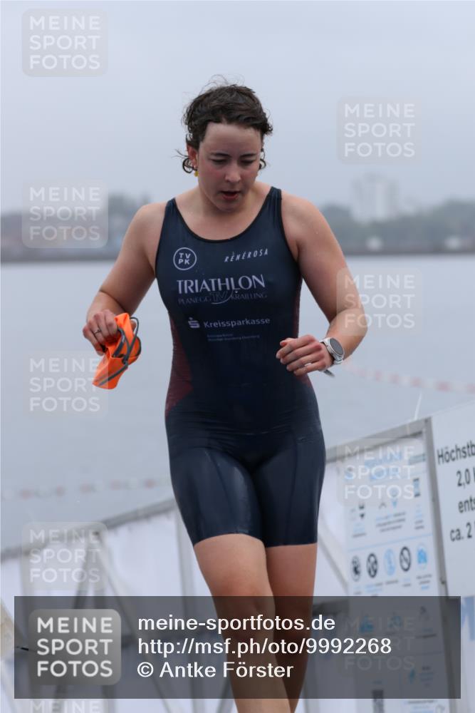 16.08.2026 - KN Förde Triathlon 2026 Antke Förster http://msf.ph/oto/9992268 16.08.2026 09:08:25 Schwimmen 102, 104, 105, 537, 102 meine-sportfotos.de