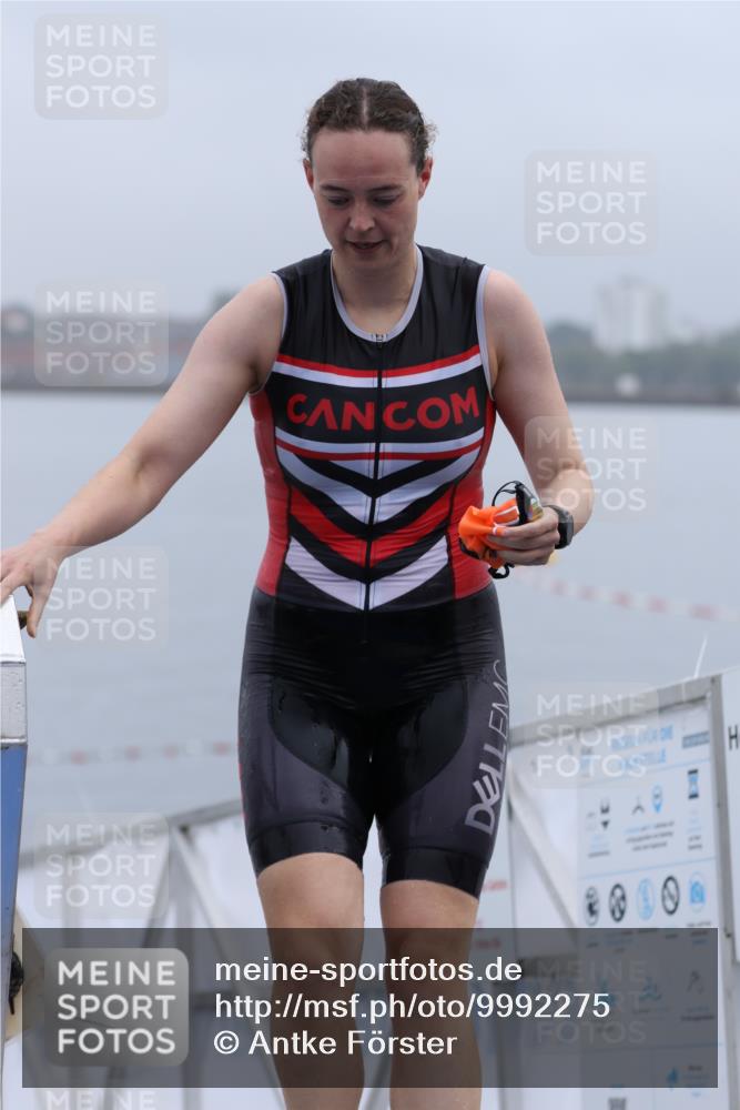 16.08.2026 - KN Förde Triathlon 2026 Antke Förster http://msf.ph/oto/9992275 16.08.2026 09:09:07 Schwimmen 109 meine-sportfotos.de