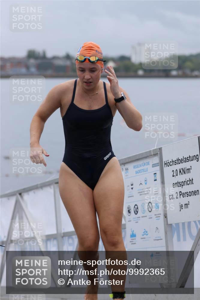 16.08.2026 - KN Förde Triathlon 2026 Antke Förster http://msf.ph/oto/9992365 16.08.2026 09:12:09 Schwimmen 146, 127, 141 meine-sportfotos.de