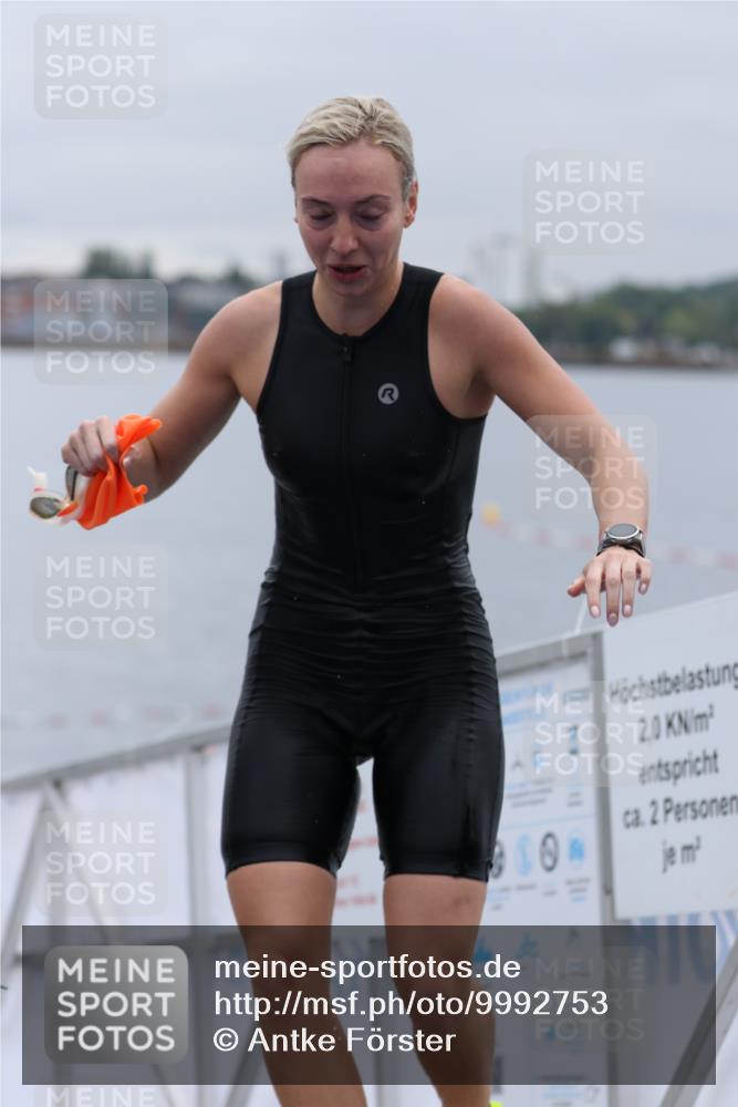 16.08.2026 - KN Förde Triathlon 2026 Antke Förster http://msf.ph/oto/9992753 16.08.2026 09:21:39 Schwimmen 213, 235, 248, 188, 202, 215, 229, 242 meine-sportfotos.de