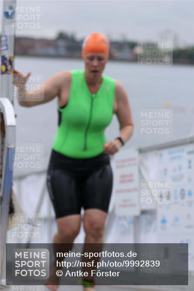 16.08.2026 - KN Förde Triathlon 2026 Antke Förster http://msf.ph/oto/9992839 16.08.2026 09:23:13 Schwimmen 223, 236, 258, 222, 226, 240, 252 meine-sportfotos.de