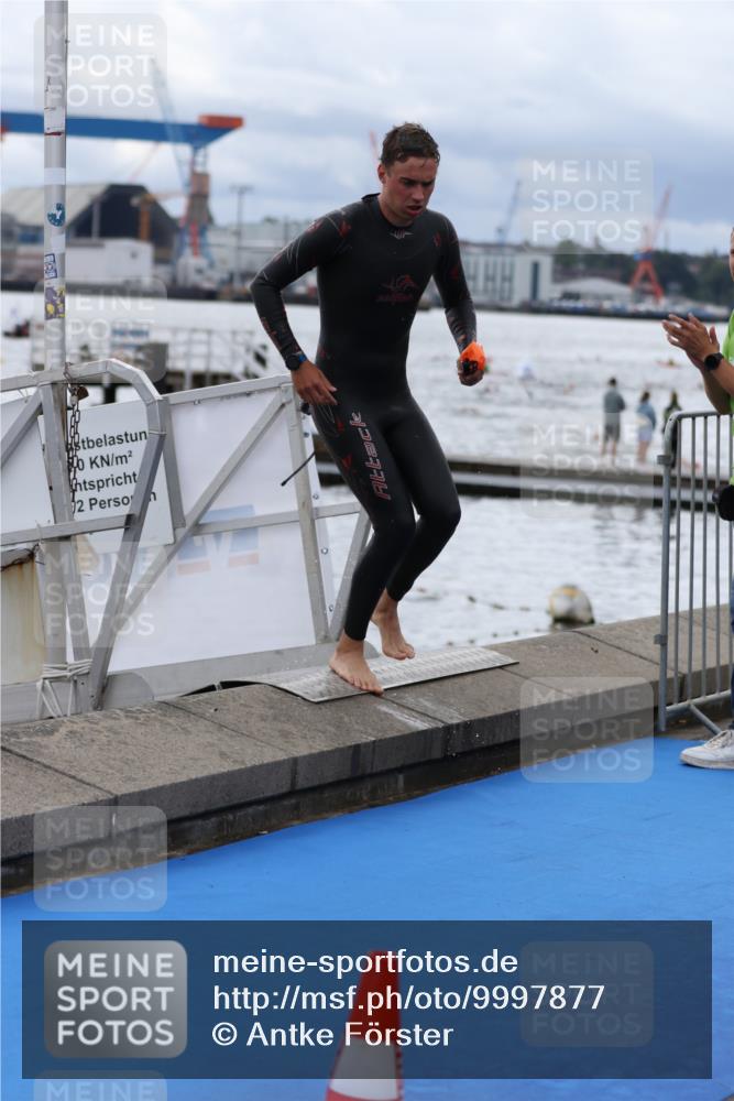 16.08.2026 - KN Förde Triathlon 2026 Antke Förster http://msf.ph/oto/9997877 16.08.2026 12:40:17 Schwimmen 508, 512, 518, 526, 531, 513, 526 meine-sportfotos.de
