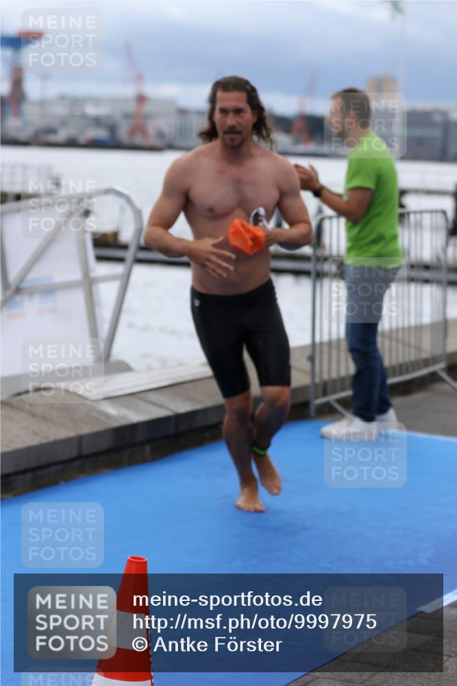 16.08.2026 - KN Förde Triathlon 2026 Antke Förster http://msf.ph/oto/9997975 16.08.2026 12:42:18 Schwimmen 524, 542, 533, 538, 547, 590 meine-sportfotos.de